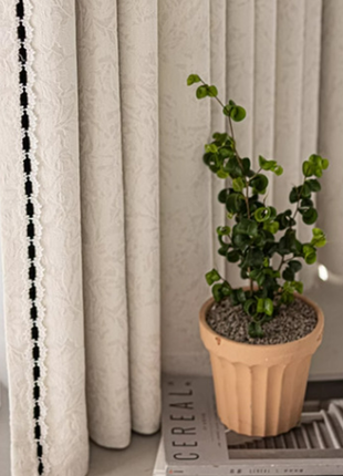 A potted plant with green leaves sits on a stack of magazines, with a white curtain featuring black trim in the background.