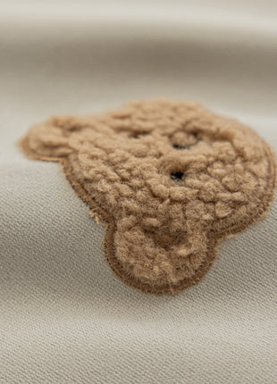 a brown teddy bear on a white background