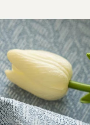 a white tulip and a blue cloth framed print by panoramic images