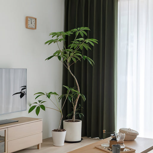 Rideaux Chambre à Coucher